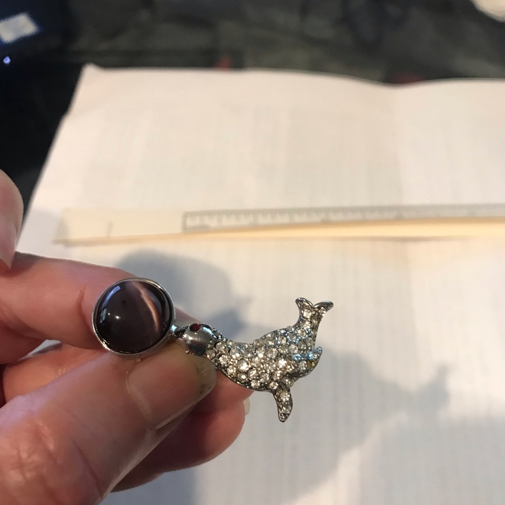 Seal brooch